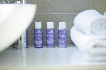 Фото номера Двухместный номер Делюкс с 1 кроватью Гостевой дом Lavender Inn Guest House г. Viešvėnai 6