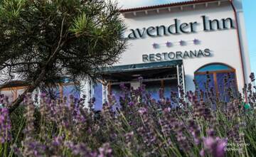 Фото Гостевой дом Lavender Inn Guest House г. Viešvėnai 2